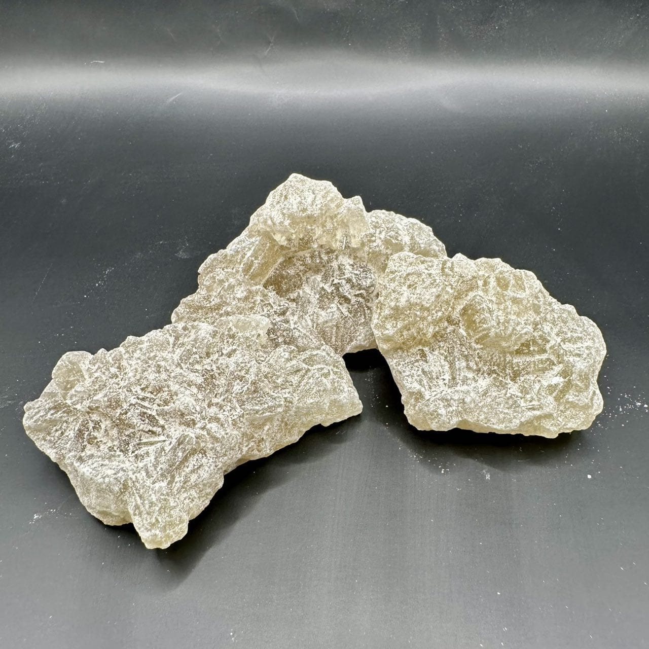 Champagne Molly