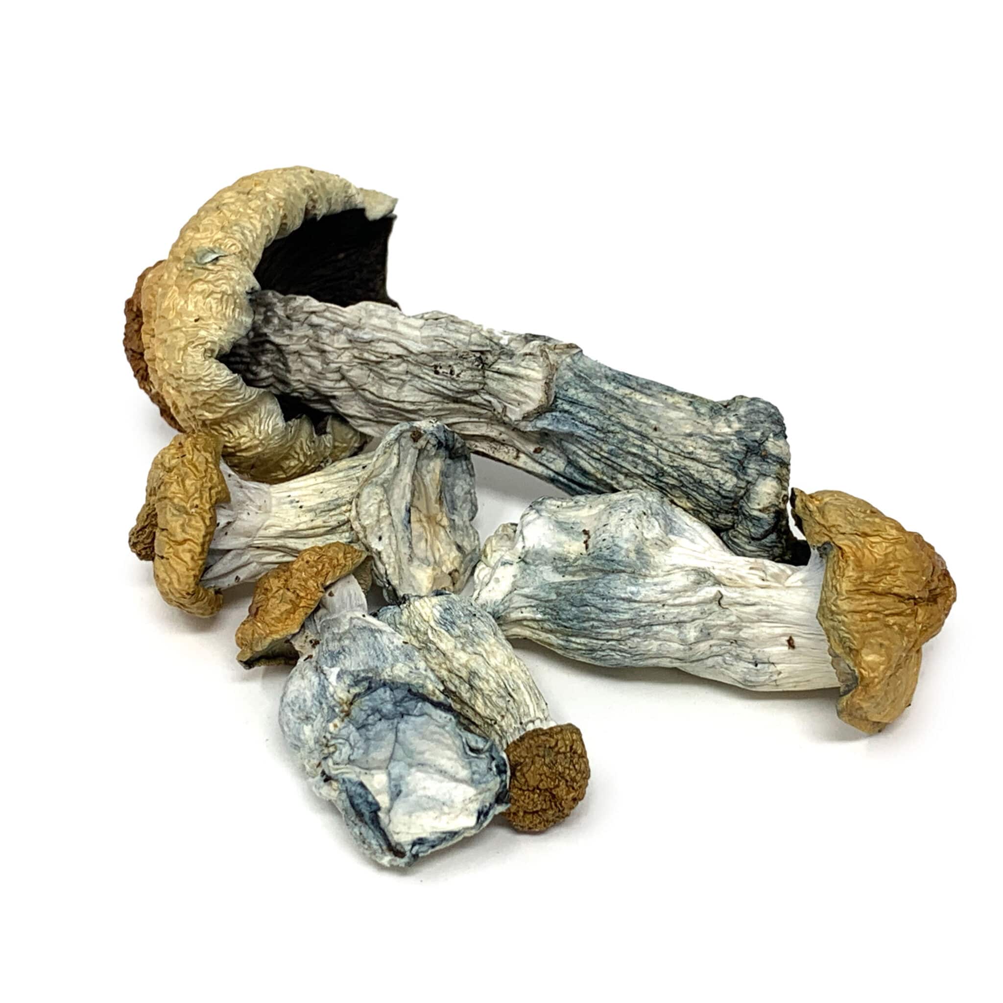 Practical guide on how to avoid a bad trip with magic mushrooms including set and setting dosing and safety tips
