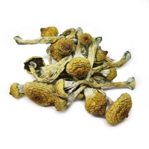 Texas Yellow Cap